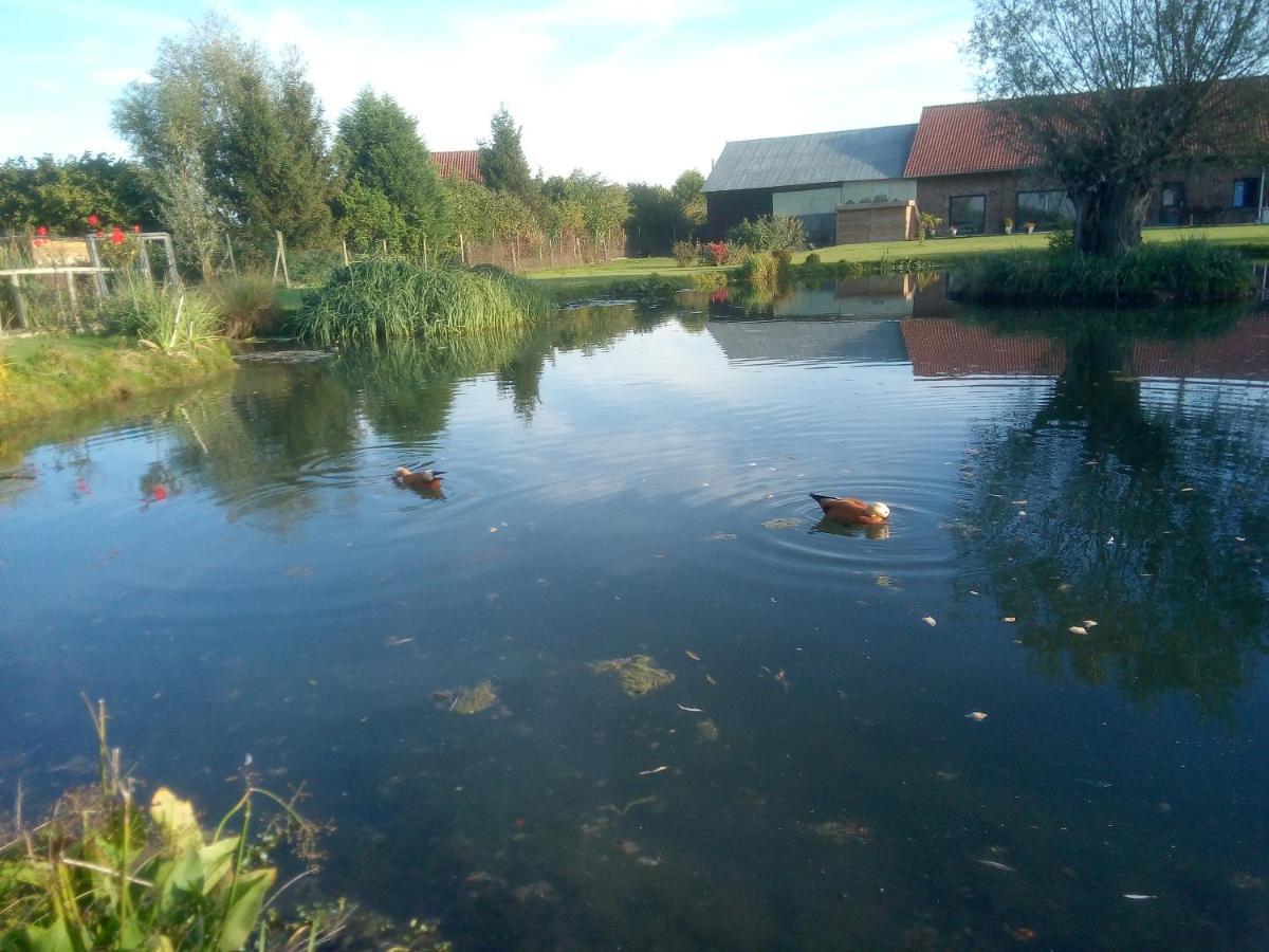 Gite Canard Fromelles Luaran gambar